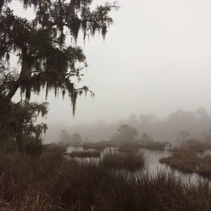 Original Photo Art Print